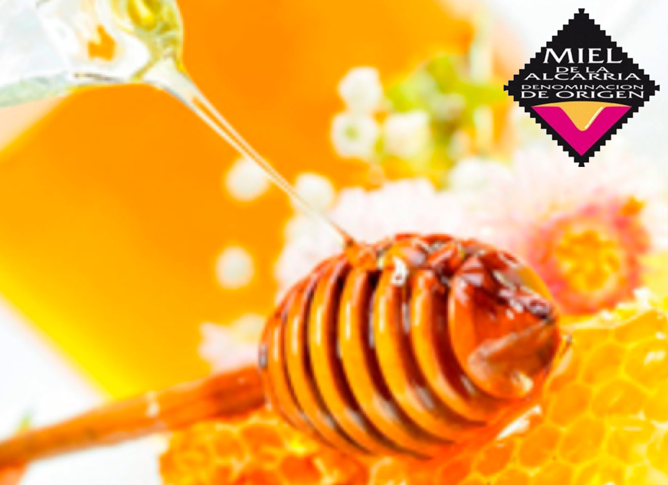 02-miel-de-la-alcarria-2