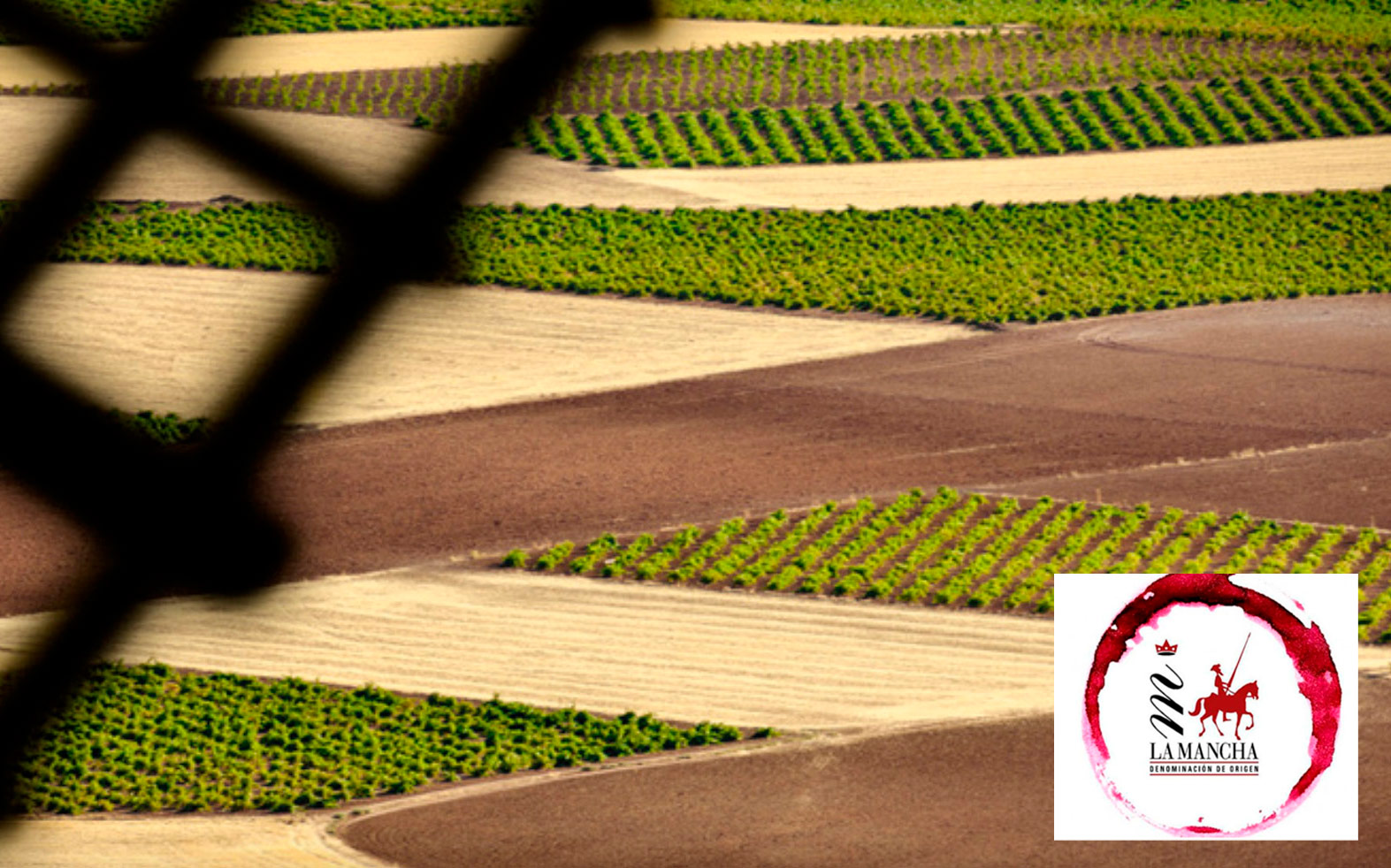 08-La-Mancha-2