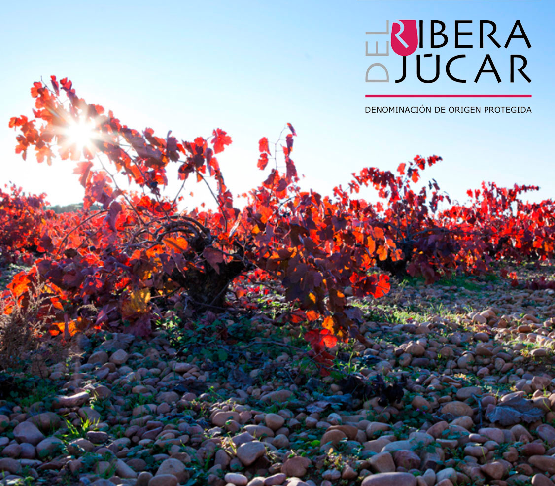 6.-Vinos-Ribera-del-Jucar-1