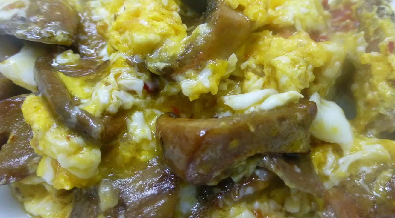 REVUELTO-DE-NISCALOS