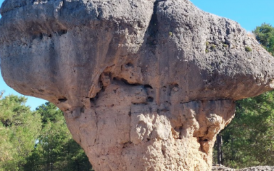 CUENCA BATE RECORDS EN TURISMO RURAL